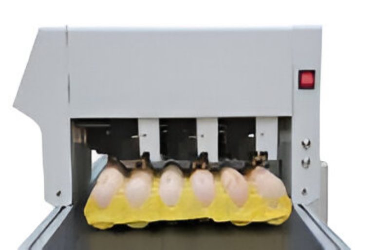May-in-phun-trung-6-dau-phun-TMSX-D34-3